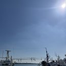 구룡포 호랑이 바나나 글라세 | 포항 구룡포 기념품 추천 일본인 가옥거리 구룡포 호랑이 바나나 글라세 후기