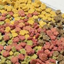 놀면멍하냥 이미지