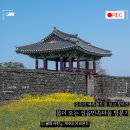 김숙의 '예측불가'한 폐가 리노베이션을 응원하며, 찾아간 성읍민속마을 제주유채꽃명소