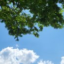 예일스테이 이미지