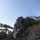 금산-38 Daum카페