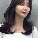 문정약국 이미지