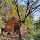 웅교농장 이미지