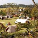 정선 국민여가캠핑장 이미지