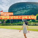 그날의옷차림 | 7월 8월 싱가포르 날씨 옷차림 준비물 스콜 총정리