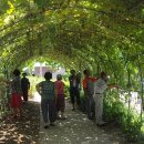 서만1리 경로당 이미지