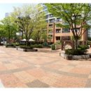 하늘마을2단지 정류장 이미지