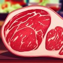 500 | 온 가족이 푸짐하게! 김씨네 샤브샤브 500g 냉동 후기