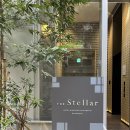 호텔 더스텔라 | [홍콩-숙소] 내돈내산 : 깔끔하고 군더더기 없는 신상 레지던스, 더 스텔라 호텔(The Stellar)