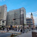 아브뉴프랑 옐로우 이미지