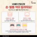 레푸스미아