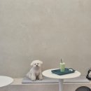 댕댕회관 이미지