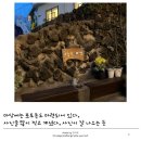 오늘도 화창 이미지