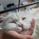 음암초등학교 | [7] 12월 31일 기념 연말정산