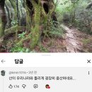 주왕산 사건땜에 찾아봤는데 일본 산 존나 무서움 이미지