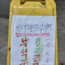 홍일