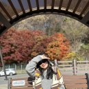 호명호수(정상) | 후기_본가부산식당_골프채갈비탕_가평 호명산, 호명호수 단풍놀이 후 만난 찐맛집!!_주말남양주데이트맛집