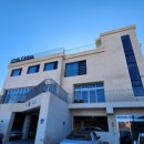 더리시안 이미지