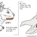 이옷니옷 이미지