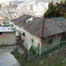 럭키무지개타운 이미지