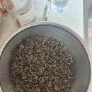 캣에어 | Zeal 질 에어드라이 소고기 캣 사료 내돈내산 후기