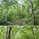 명당2길 이미지