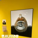 그림책 속으로 퐁당 | 7살 쌍둥이와 그림책 속으로 풍덩! 앤서니 브라운 전시회 후기&#34;
