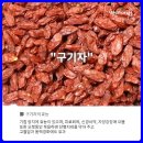 화산영농조합법인 이미지