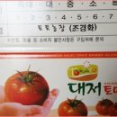 토토농장 이미지