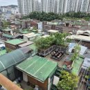 중앙동219 이미지