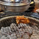 숯불홍닭갈비 - 논산시 | [대전 ] 내돈내산 숯불홍닭갈비 본점 / 부사동 찐 맛집 / 한화이글스파크 노포맛집