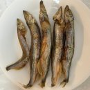 찹앤찹 | 강아지 동결건조 간식 : 찹앤찹 찹찹트릿 열빙어 후기
