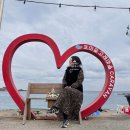 장마루촌 안전마을쉼터 앞 | 호미곶 고래마을카라반 나 홀로 힐링 포항 여행 후기