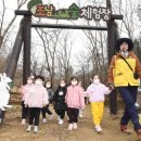 봄 숲으로 가자 이미지