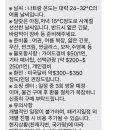 베트남 나트랑/달랏 3박 5일 | 온라인투어 패키지 여행 솔직 후기 | 총경비 | 환전