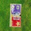 나무이야기 이미지