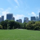 상가114공인중개사사무소 이미지