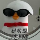 모던복싱