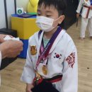 경희대 라이온스 태권도장 이미지