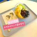 요거트아이스크림의정석 ★요아정★ 초코쉘+과일토핑세트 내돈내산 처음먹어본 후기!!