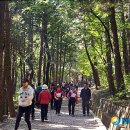 백양산 나들숲길 이미지