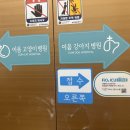 동물병원 이음 이미지