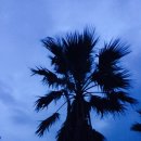 장춘황토마을 이미지