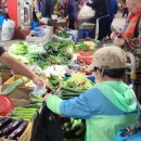 평대초등학교 이미지