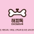 해피독반려견방문교육 이미지