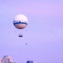 수원-1778 이미지