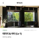 하타 | 고양이요가원, 이어가는 움직임 테라피앤 하타 후기(오붓패스)