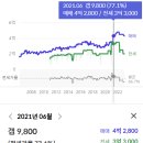 대우마트 | 울산 삼산동 아파트: 삼산푸르지오, 벽산강변타운, 평창현대3차 임장후기