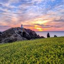 동류암로 이미지