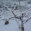 성심농원 이미지